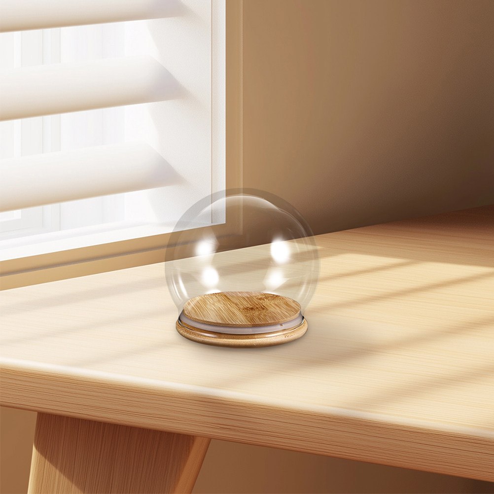 2Pcs Clear Glass Dome Display  - Plastic Dome Clear review and price