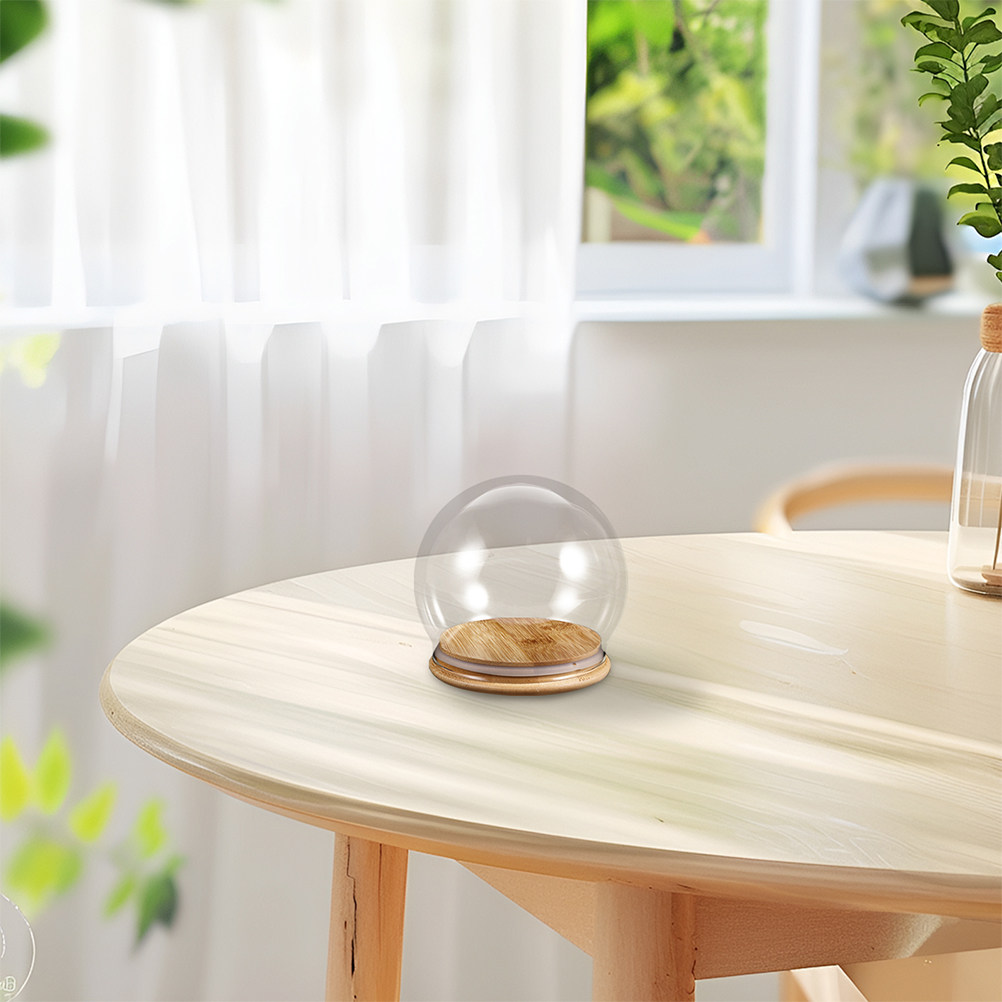 2Pcs Clear Glass Dome Display  - Plastic Dome Clear review and price