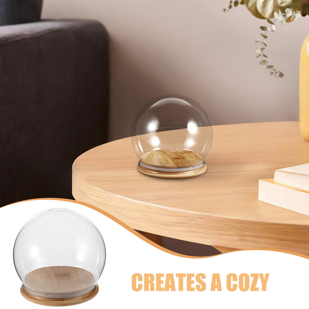 2Pcs Clear Glass Dome Display  - Plastic Dome Clear review and price