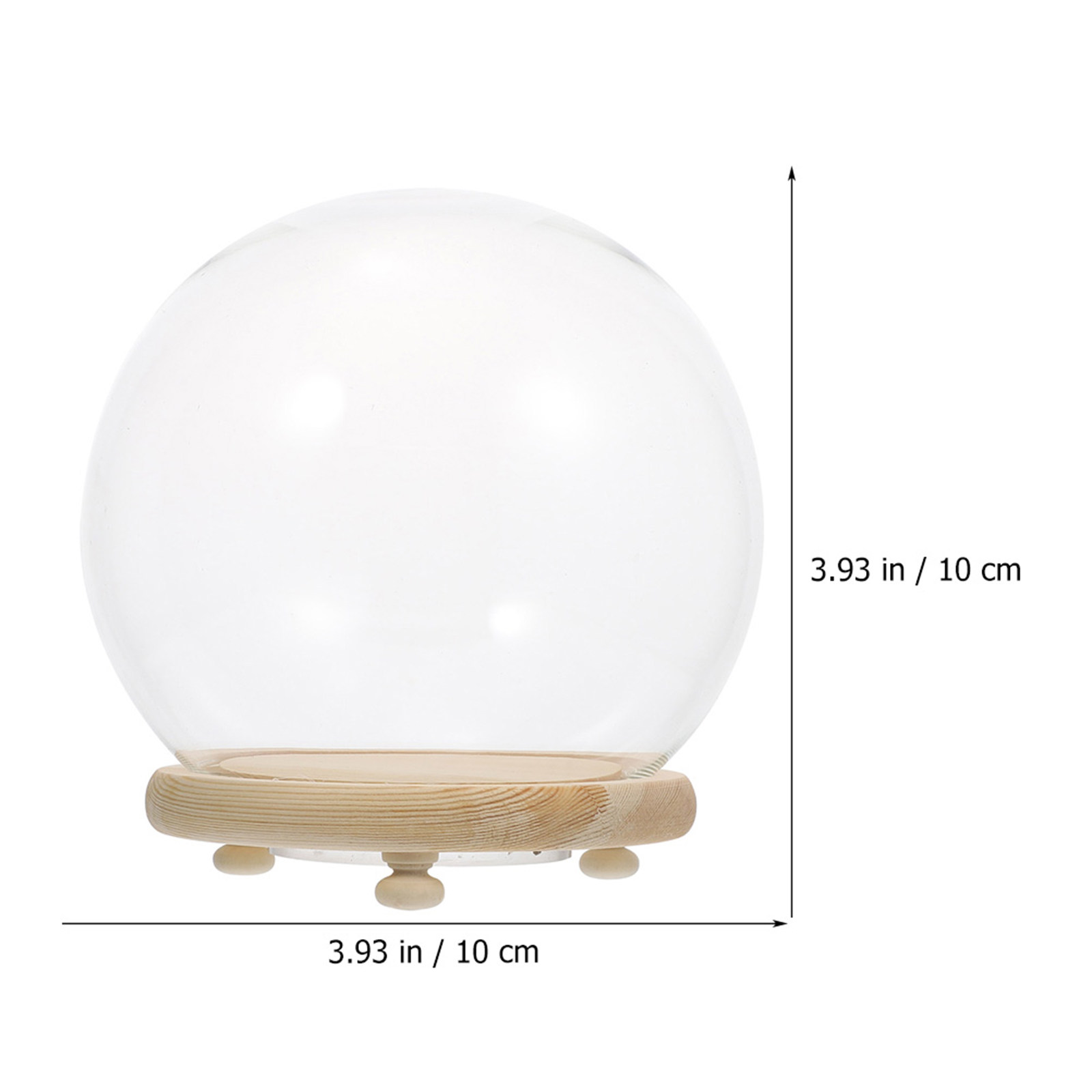 Clear Glass Dome Preserved Flo - Plastic Dome Clear review and price