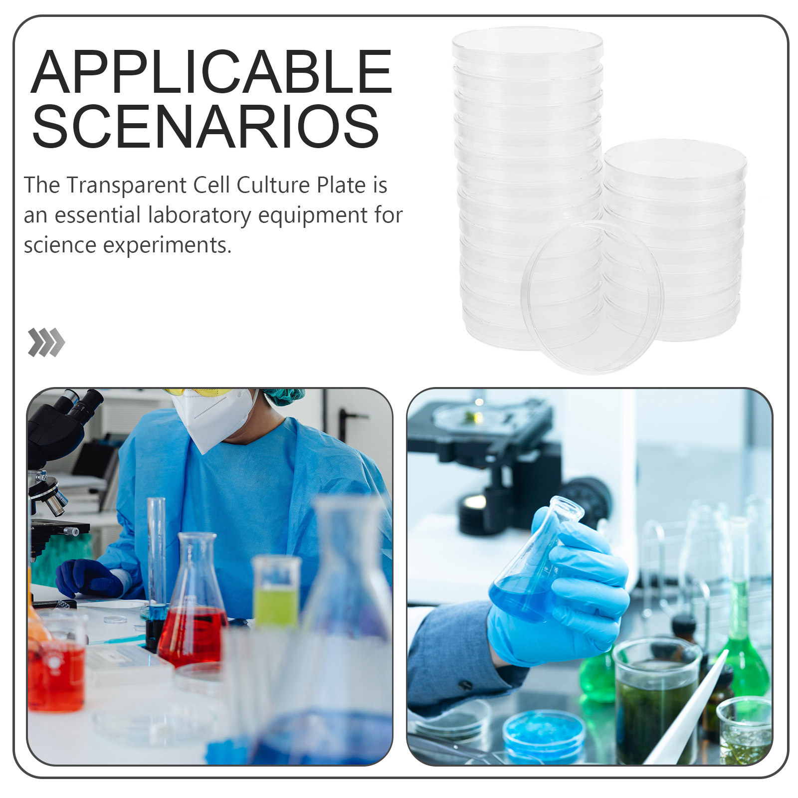 20Pcs Reliable Sterile Petri D - Agar Tissue Culture review and price