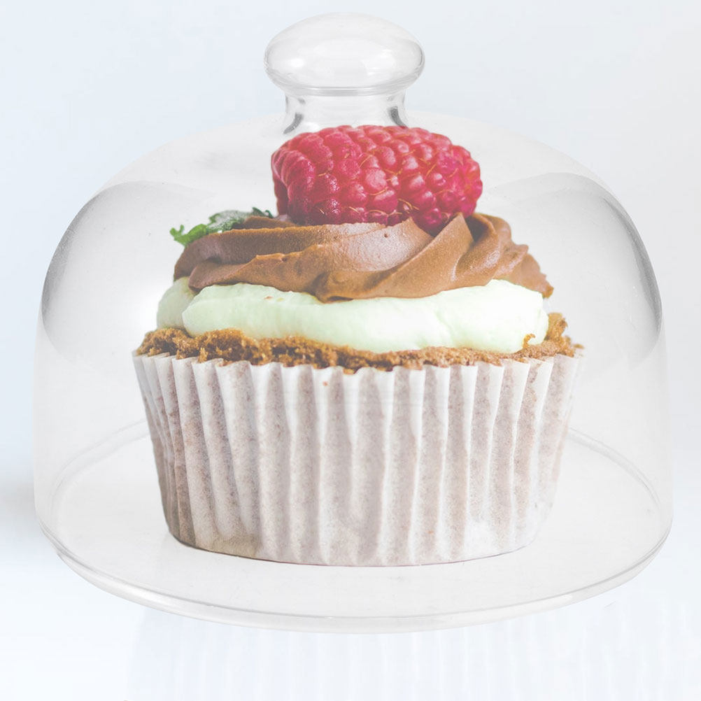 2Pcs Transparent Glass Cake Do - Plastic Dome Clear review and price