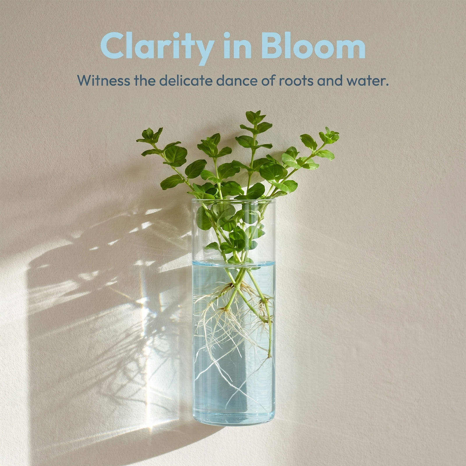 5Pcs Cylinder Glass Wall Vase  - Propagation Station Vase review and price